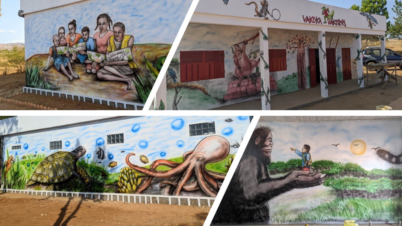 Ambohimanambola library